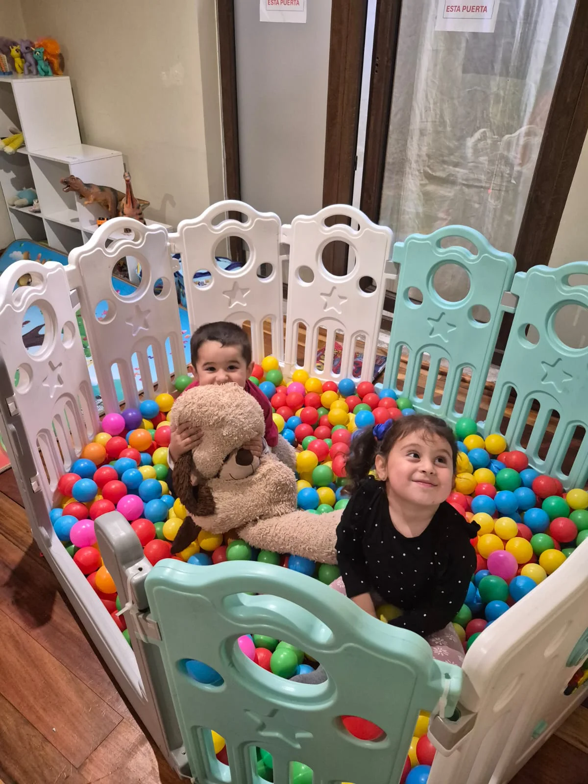 Cama elástica para cumpleaños infantiles en Concepción