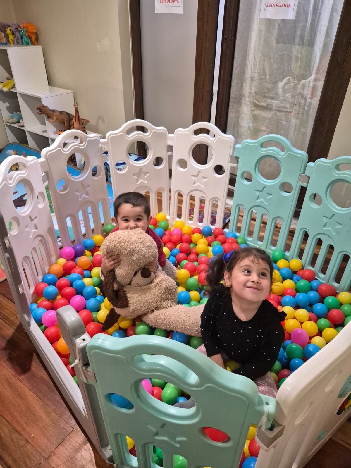 Cama elástica para cumpleaños infantiles en Concepción